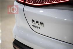 بي واي دي سيل 05 DM-i